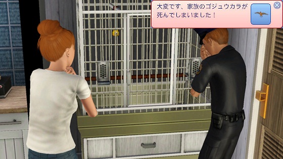 20120430a2.jpg
