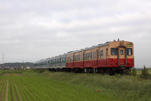 110907-005x.jpg