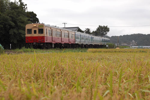 110907-017x.jpg