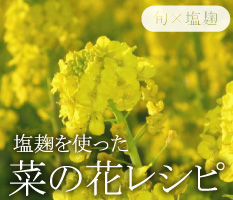 今が旬の“菜の花”×塩麹レシピ今日すぐにでも使いたい５選