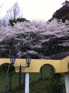 fc2blog_2012040923430018e.jpg