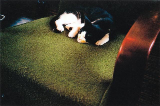 139.jpg