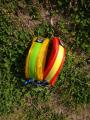 DSC01575.jpg