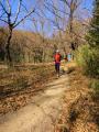 DSC08859.jpg