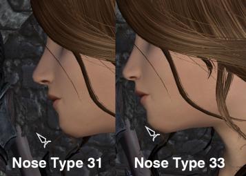 nosetype33.jpg