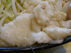 16_2014020814223355f.jpg