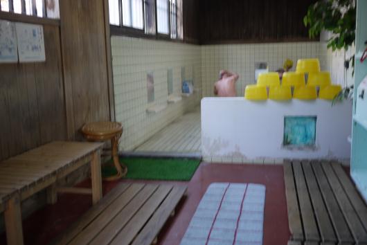 P1060860.jpg