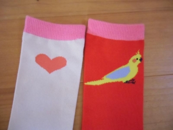 THE SOCKS