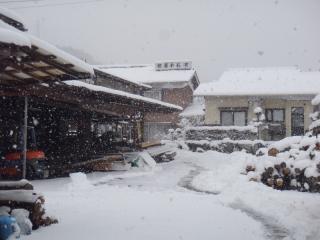 2月29日