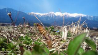 20120412070417633.jpg