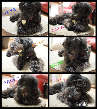 smilouis1203312.jpg