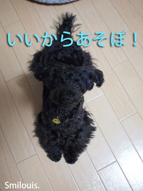 smilouis120404.jpg