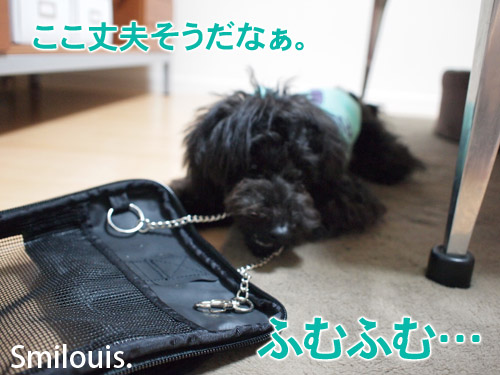 smilouis120405_6.jpg