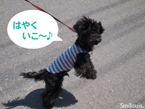 smilouis120408_1.jpg