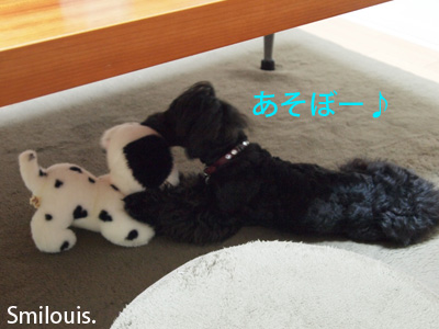 smilouis120421_1.jpg