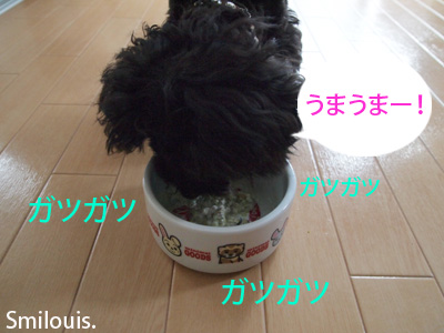 smilouis120421_11.jpg