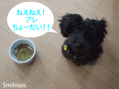 smilouis120421_8.jpg