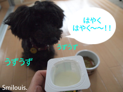 smilouis120421_9.jpg