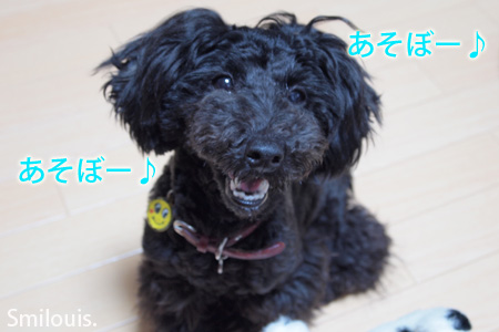 smilouis120425_1.jpg