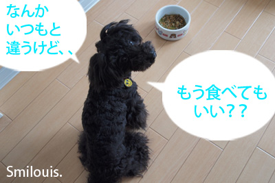 smilouis120428_5.jpg
