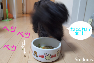 smilouis120428_6.jpg