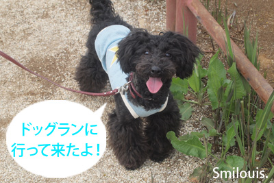 smilouis120501_1.jpg