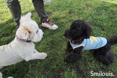 smilouis120501_3.jpg