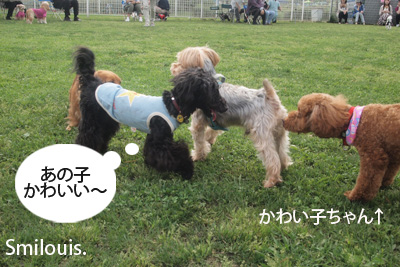 smilouis120501_5.jpg
