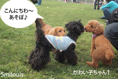smilouis120501_6.jpg