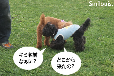 smilouis120501_7.jpg