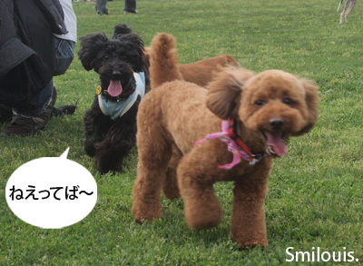 smilouis120501_9.jpg