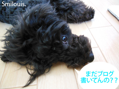 smilouis120502_1.jpg