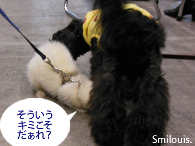 smilouis120503_10.jpg
