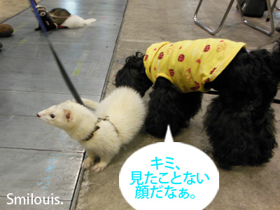 smilouis120503_11.jpg