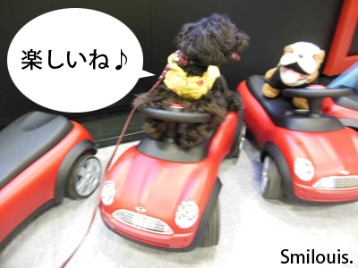 smilouis120503_15.jpg
