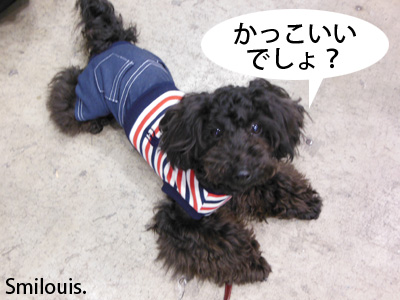 smilouis120503_18.jpg