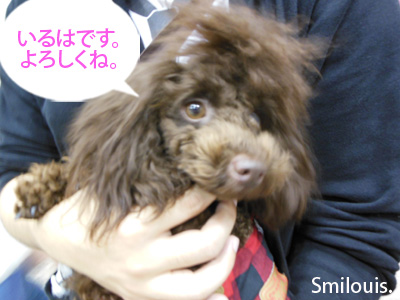 smilouis120503_2.jpg
