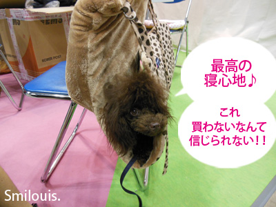 smilouis120503_3.jpg
