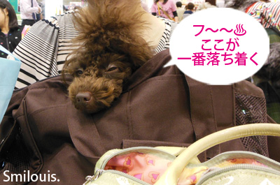 smilouis120503_4.jpg