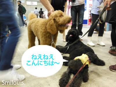 smilouis120503_5.jpg