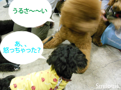 smilouis120503_7.jpg