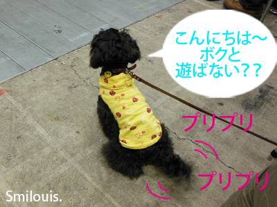 smilouis120503_8.jpg