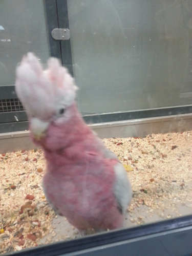 8_20131217023948761.jpg