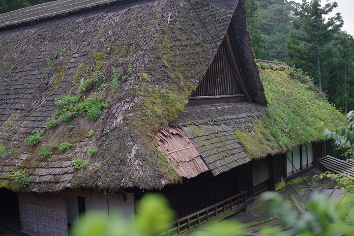11091624r.jpg