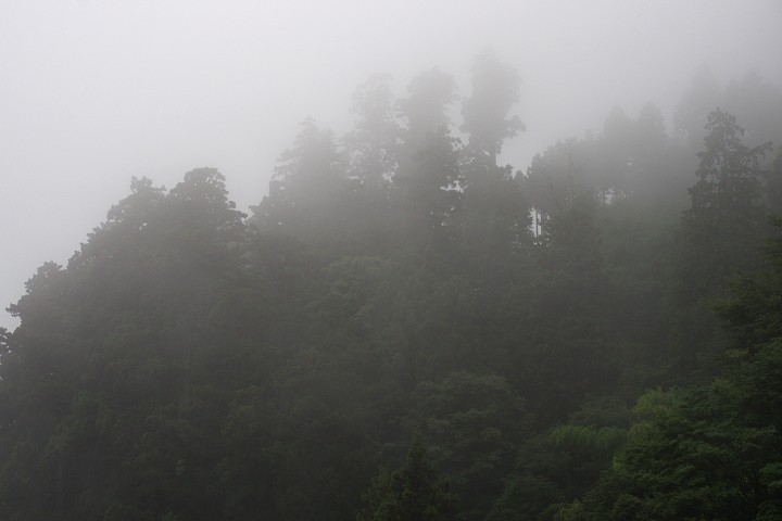 11091634r.jpg