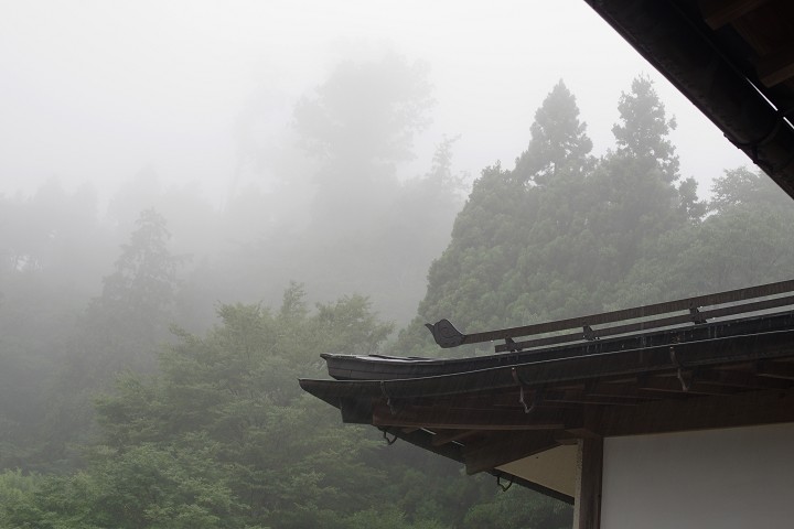 11091636r.jpg