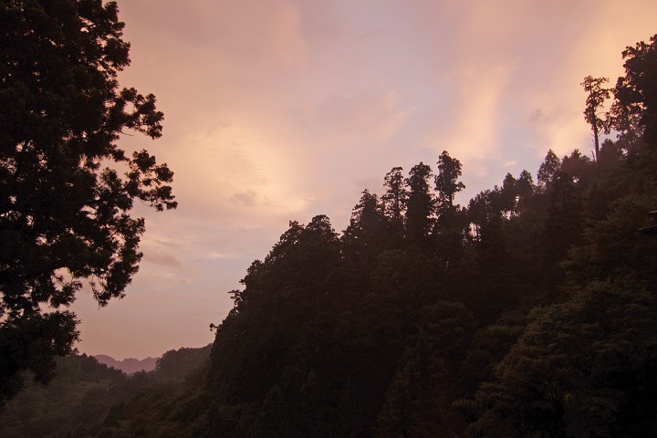 11091637r.jpg