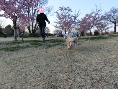 036_convert_20120405211432.jpg