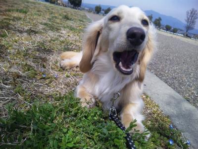 121_convert_20120308144447.jpg