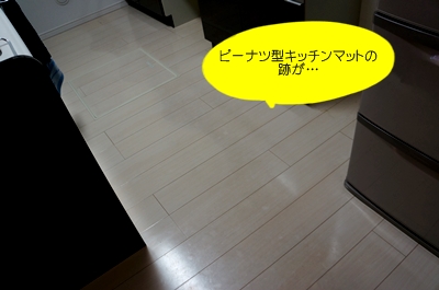 DSC08088.jpg